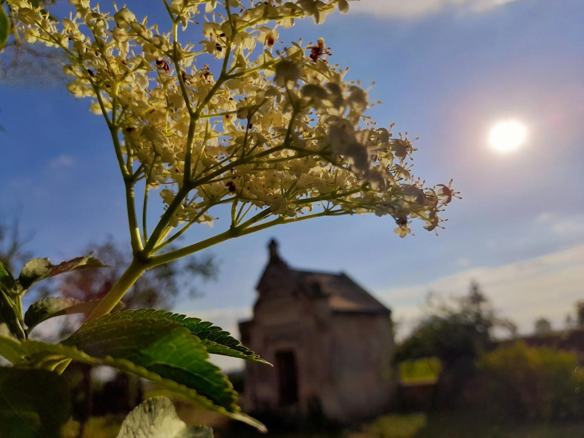 La Galuche Bed & Breakfast Angliers  Dış mekan fotoğraf